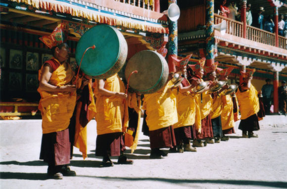 drummle