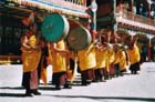drummle
